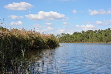 un lac en Gironde à Hostens