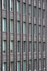 Fototapeta premium Exterior wall with many windows of multi-storey building.