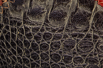 Fototapeta na wymiar crocodile leather texture