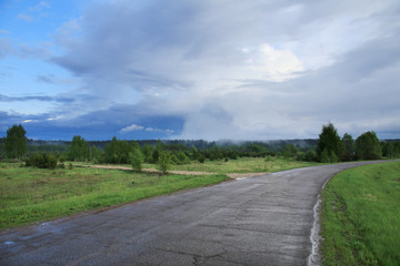 fog over the forest and the road