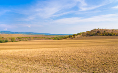 Fototapeta na wymiar Beautiful harvested field and blue sky