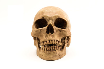 Front side view of human skull isolate on white background.