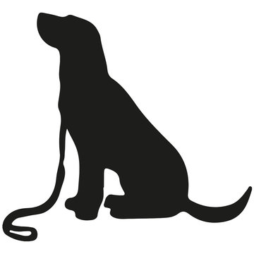 Labrador retriever. Vector black silhouette on a white background. Illustration of dog breeds