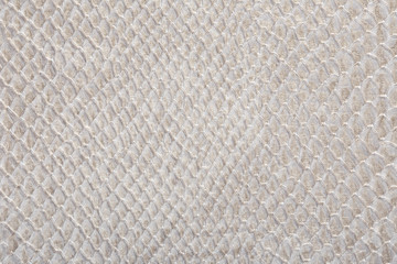 gray snakeskin