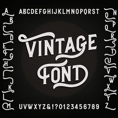 Vintage alphabet font with alternates. Letters, numbers and symbols. Retro vector typography for your design.