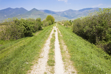 Fototapeta na wymiar Tipical Tuscany country road called 