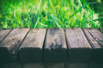 Fototapeta premium Background of wood and herbs,wood texture, nail into wood, woode