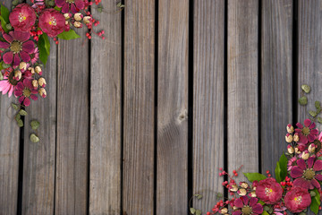 Background of wood and herbs,wood texture, nail into wood, woode
