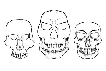 vector illustration skulls set