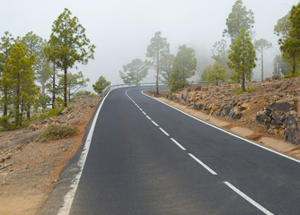 Asphalt road in mountains with trees arounded with fog 