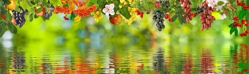 Zelfklevend Fotobehang image of different fruits over the water closeup © cooperr