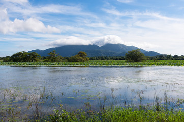 Ritigala mountain and a tank in front of it. Sri Lanka.