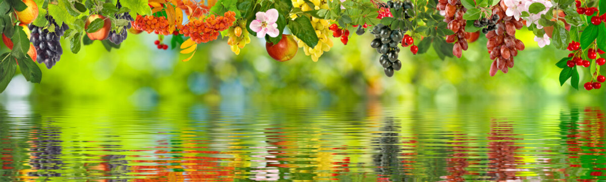 Fototapeta image of different fruits over the water closeup