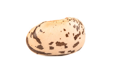 Kidney bean isolated