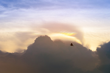 Beautiful natural iridescent cumulus phenomenon