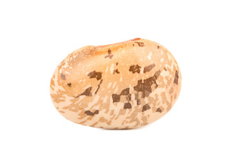 Kidney bean isolated