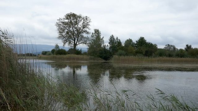 teich am neuenburgersee, schweiz 