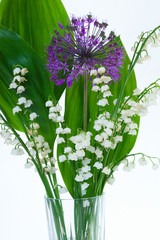 Fototapeta na wymiar Lily of the valley and decorative onions