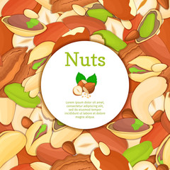 Round colored frame composed of different nuts brazil, cashew, peanut, pecan, pine, pistachio. Vector card illustration. Circle nuts frame with place for your text for packaging design element