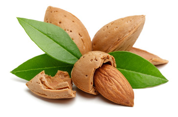 Almonds, shelled almonds and leaves