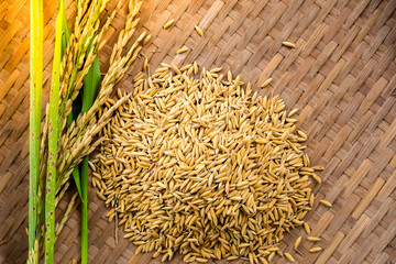 Rice on wooden background
