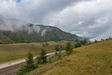 mountains forest trees fog