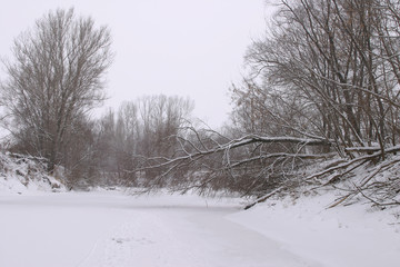 Winter on the river