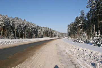 The road near the woods