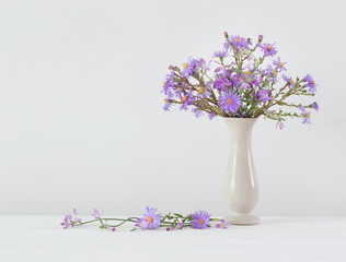 flowers in a vase on white background