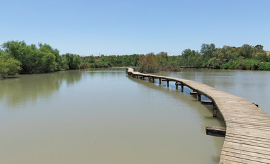 Fototapeta na wymiar Wooden path to the pond