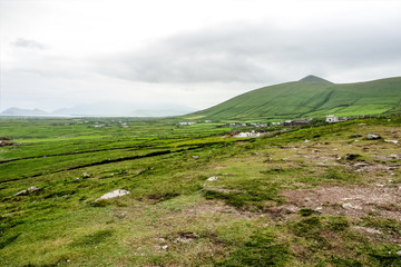 Fototapeta premium Irland - Dingle Peninsula