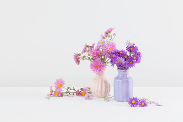 flowers  in ceramic vases on white background