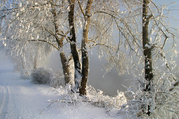 frosty misty morning on the winter river