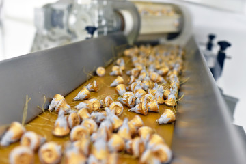 
Conveyor belt with packed chocolate in a factory // Fliessband mit eingepackter Schokolade in...