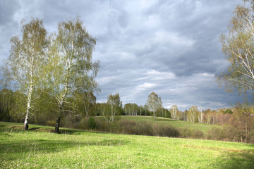 the arrival of spring