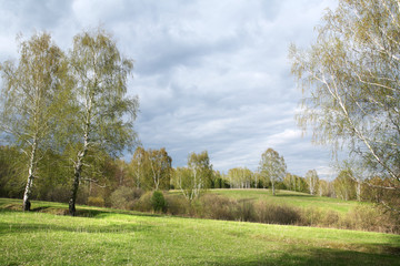 the arrival of spring