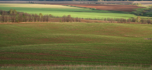 Spring landscape