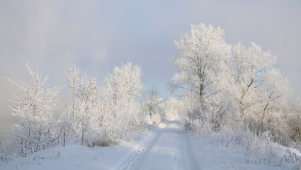 Frosty morning on the riverbank