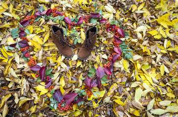 women's shoes on a background of autumn leaves