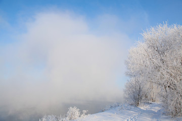 Obraz na płótnie Canvas Frosty morning on the riverbank