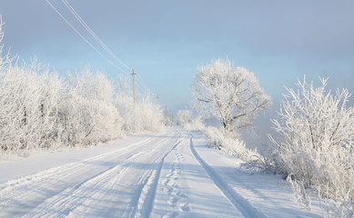 Obraz premium Frosty morning on the riverbank