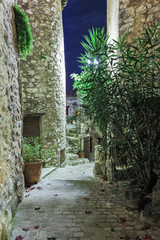 Narrow cobbled street with flowers in the old village Tourrettes