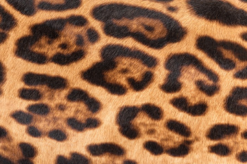Faux leopard fur