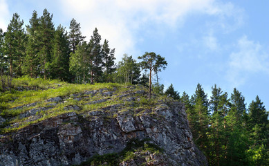 Fototapeta na wymiar Coniferous forests of the Urals