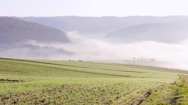 Agrarlandschaft mit Nebel