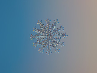 Snowflake on smooth gradient background: macro photo of rare snow crystal with twelve arms, on glass surface with LED back light. This is medium size snowflake with 12 symmetrical spear-like branches.