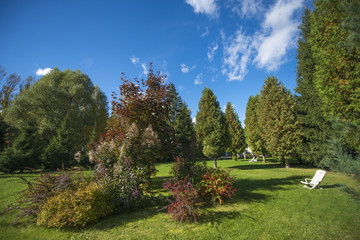 sunny autumn day in the park