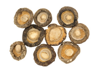 Underside of dried mushrooms on a white background.