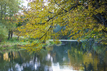 sunny autumn day in the park