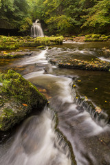 Woodland waterfall in Yorkshire Dales National Park with Autumn foliage. © _Danoz